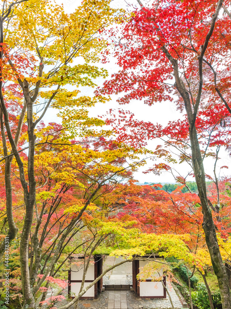 idyllic garden in Arashiyama, Kyoto, Japan in autumn season idyllic garden in Arashiyama, Kyoto, Japan in autumn season