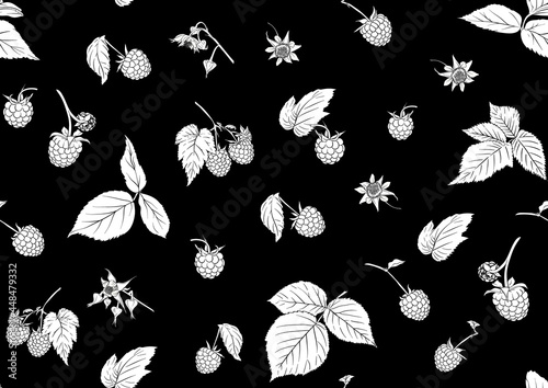 Raspberry. Ripe berries on branch. Seamless pattern, background. Outline drawing. Vector illustration in black and white colors