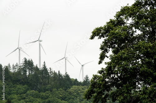 Wind turbne farm on hills above tree tops near Grayland photo