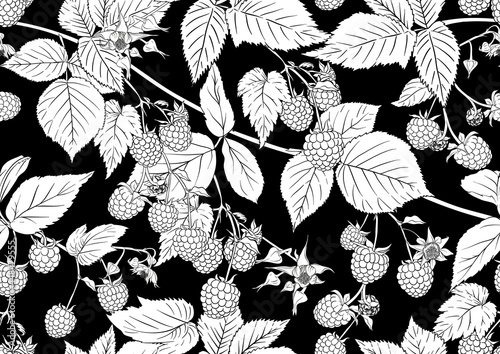 Raspberry. Ripe berries on branch. Seamless pattern, background. Outline drawing. Vector illustration in black and white colors