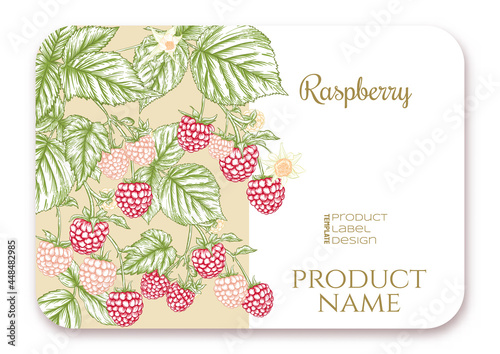 Raspberry. Ripe berries on branch. Template for product label, cosmetic packaging. Easy to edit. Graphic drawing, engraving style. Vector illustration..