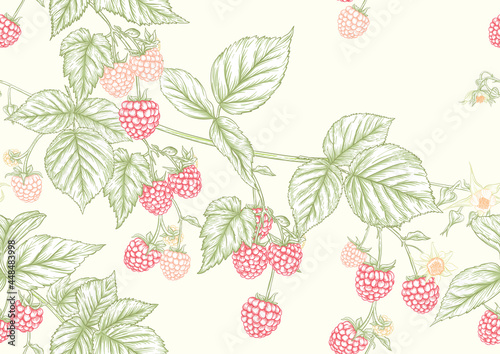 Raspberry. Ripe berries on branch. Seamless pattern, background. Graphic drawing, engraving style. Vector illustration on black background.