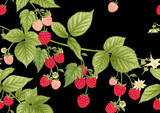 Raspberry. Ripe berries on branch. Seamless pattern, background. Graphic drawing, engraving style. Vector illustration on black background.