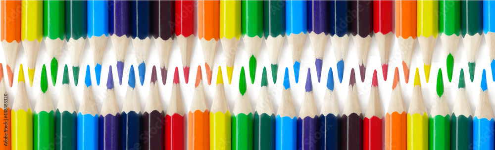 pencils isolated on white background with copy space. School and creative painting concept with colored pencils. Back to school banner. packaging template for colored pencils, notebooks and holder