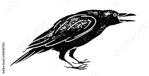 Grunge raven with open beak