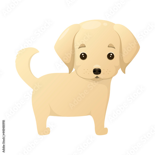 Cute golden retriever puppy on a white background. Dog.