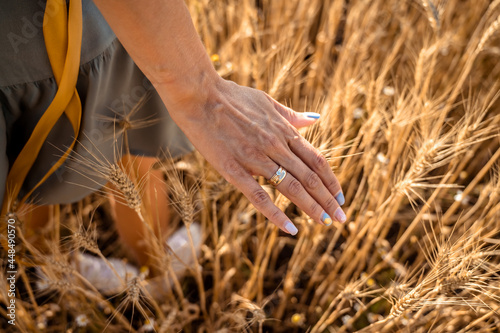 A woman s hand touching the ears of wheat at sunset
