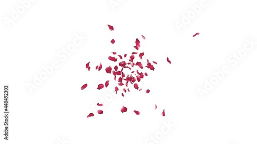 3D animation of rose petals flow with alpha layer