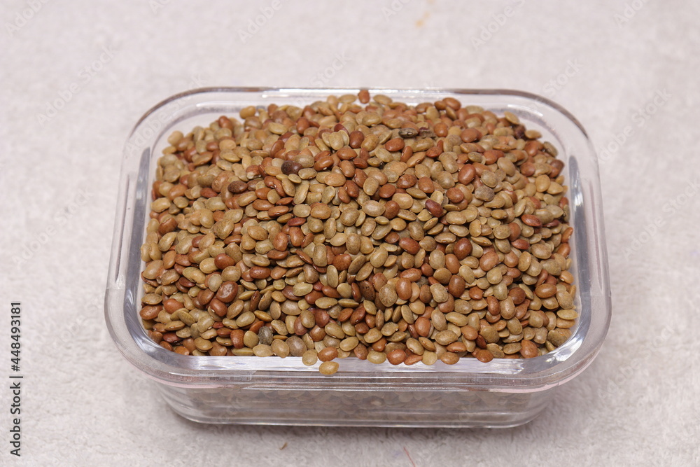 Horse gram or Macrotyloma uniflorum isolated on white background Horse gram or Macrotyloma uniflorum isolated on white background