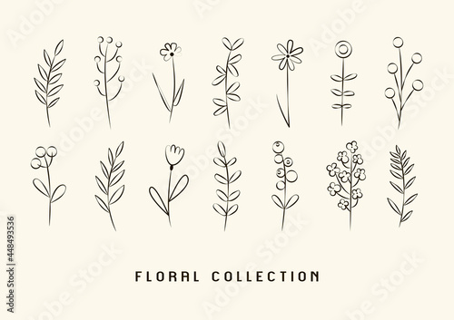 Set of outline flowers  leaves  plants. Floral collection. Simple flat illustration