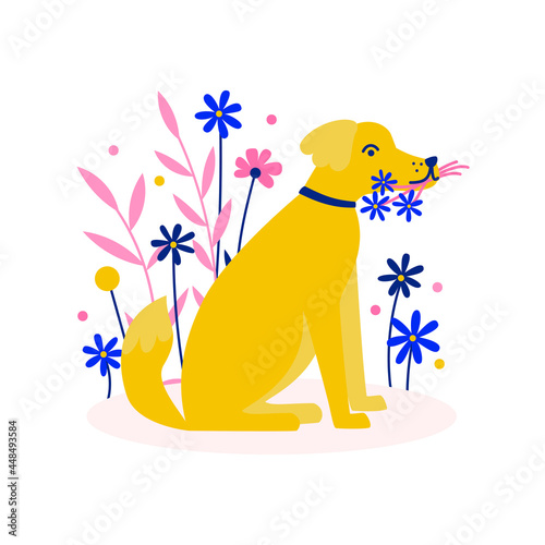 A dog with a bouquet of flowers on a white background. Vector flat illustration