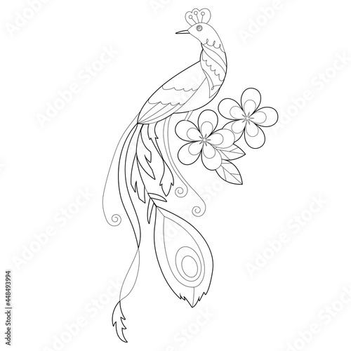 Contour linear illustration for coloring book with paradise bird. Beautiful tropical exotic bird,  anti stress picture. Line art design for adult or kids  in zentangle style and coloring page.