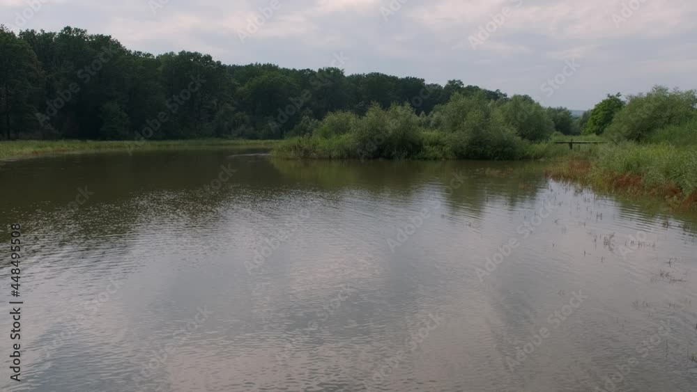 The Lake Near the Forest in Summer The Lake Near the Forest in Summer