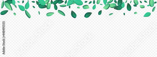 Forest Leaves Organic Vector Panoramic