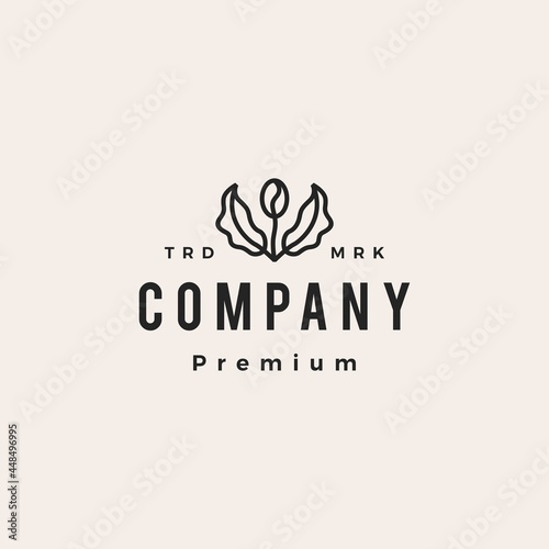 coffee bean tree leaf sprout hipster vintage logo vector icon illustration