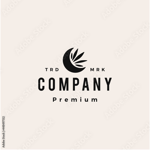 cannabis crescent moon hipster vintage logo vector icon illustration