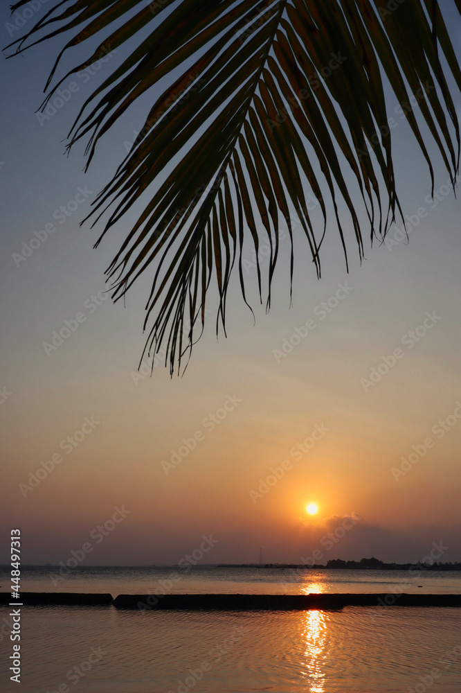 Beautiful View of Palm Tree with Sunset in Maldives. Coconut Leaf, Sun, Indian Ocean, Maldivian Scenery.