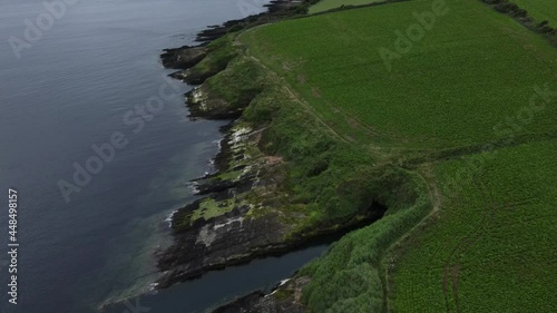 Around Courtmacsherry, a popular summer destination in West Cork there are numerous walks, one of which is the Fuchsia walk running near the cliffs and over the fields. photo