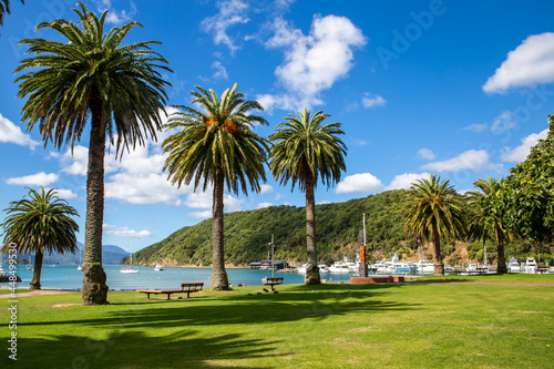 The beautiful view from the grassy waterfront area in Picton, Marlborough, New Zealand photo