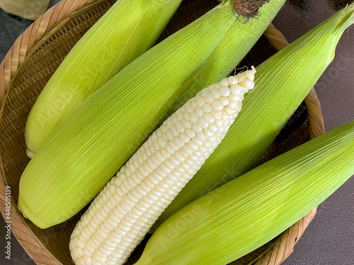 fresh sweet waxy corn on the cob photo