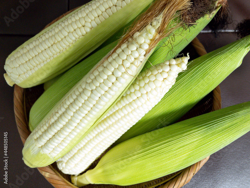 fresh sweet waxy corn on the cob
