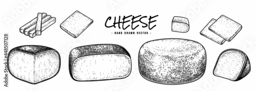 Cheese collection hand drawn sketch vector