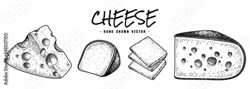 Cheese collection hand drawn sketch vector
