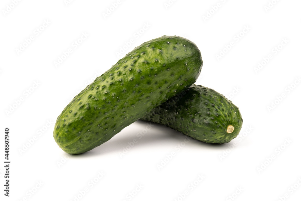 cucumber vegetable isolated on white background cucumber vegetable isolated on white background