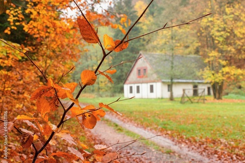 Beautiful autumnal scenery with cozy lonely rural house on the background.