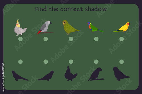 Matching children educational game with parrots - cockatiel, jaco, owl, loriiane, austaralian king. Find the correct shadow. Vector illustration. photo