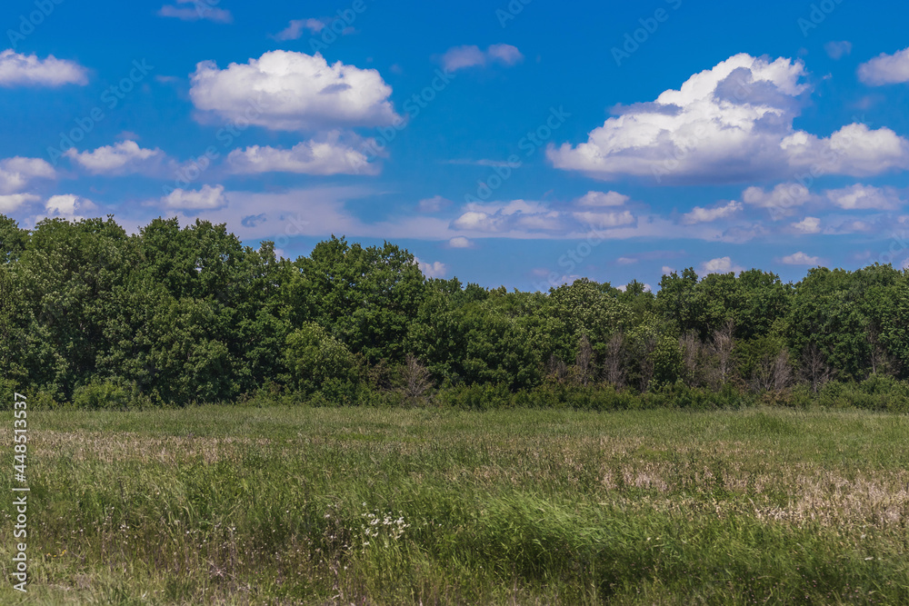 Beautiful landscape with a field and trees with green foliage under a blue sky with white cumulus clouds in the countryside on a sunny day.