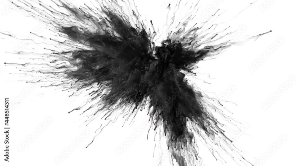 Black Color Burst - smoke powder explosion. Coloured fluid ink ...