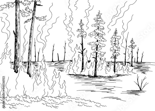 Wildfire graphic black white forest fire landscape sketch illustration vector 