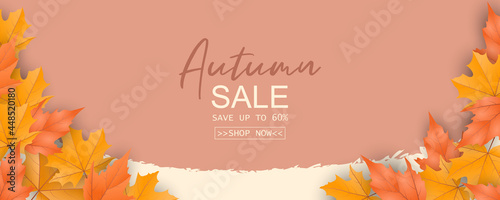 Abstract autumn sale banner on autumn leaves background