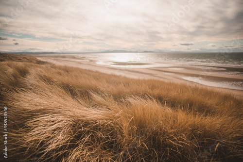 Sand Dune