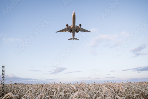 Großes Flugzeug bei der Landung über einem Kornfeld photo