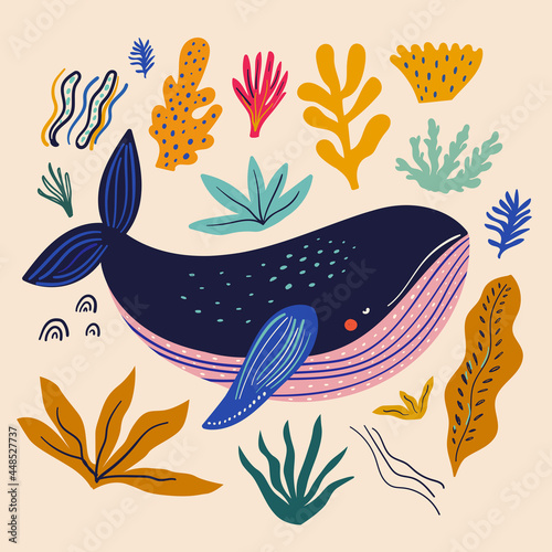 Whale vector illustration. Underwater marine life.