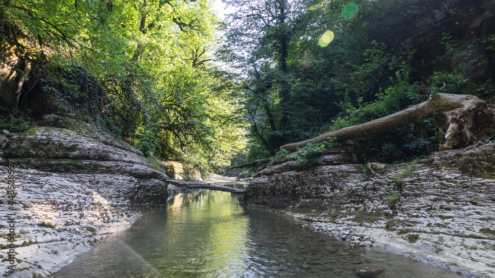 Beautiful forest and mountain river in Psakho canyon, Krasnodar Krai, Russia. Beautiful forest and mountain river in Psakho canyon, Krasnodar Krai, Russia.