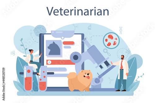 Pet veterinarian concept. Veterinary doctor checking and treating animal