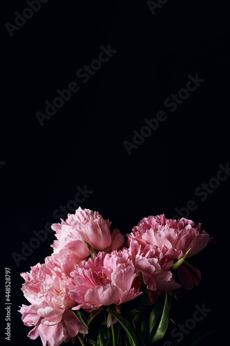 bouquet of pink peonies on a black background with place for text. minimalistic floral arrangement in a dark key. top view, moody floral