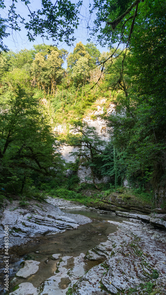 Beautiful forest and mountain river in Psakho canyon, Krasnodar Krai, Russia. Beautiful forest and mountain river in Psakho canyon, Krasnodar Krai, Russia.