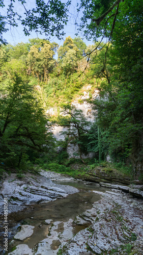 Beautiful forest and mountain river in Psakho canyon, Krasnodar Krai, Russia.