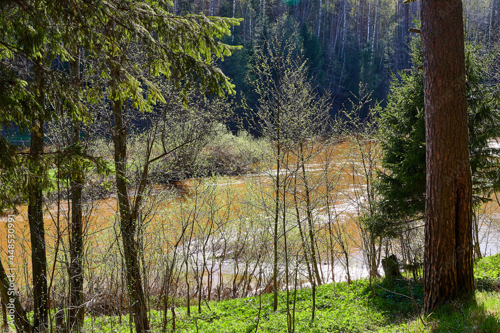 Obraz premium Water of a river or lake during a flood on an early spring day