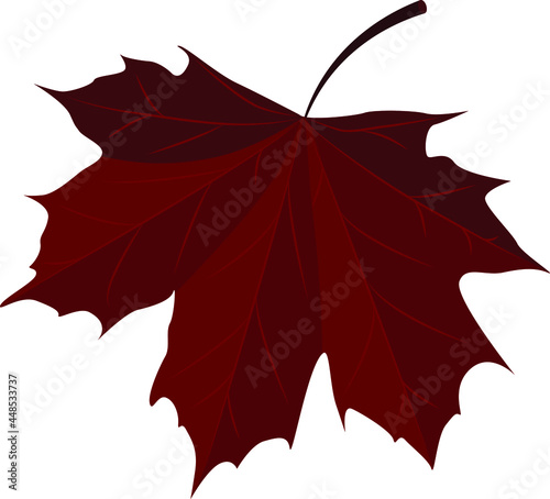 Maple Leaf. Autumn pattern. Delicate autumn colors. Red leaves. Autumn time. Canada Day.