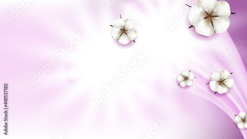 Cotton Flowers Natural Buds Copy Space Vector. Decorative Nature Cotton Blossom Flowers And Light Rays. Delicate Softness Herbal Plant For Textile Production Template Realistic 3d Illustration