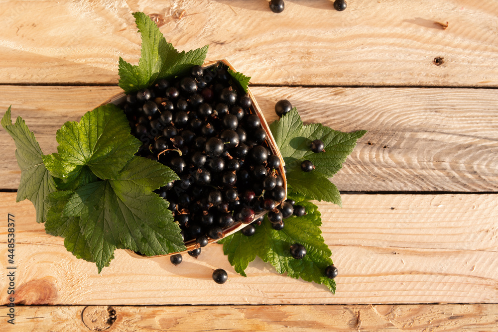 Ripe berries of black currant with wooden background
Ripe berries of black currant with wooden background