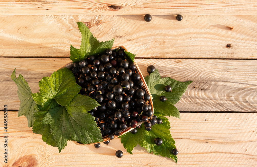 Ripe berries of black currant with wooden background
Ripe berries of black currant with wooden background