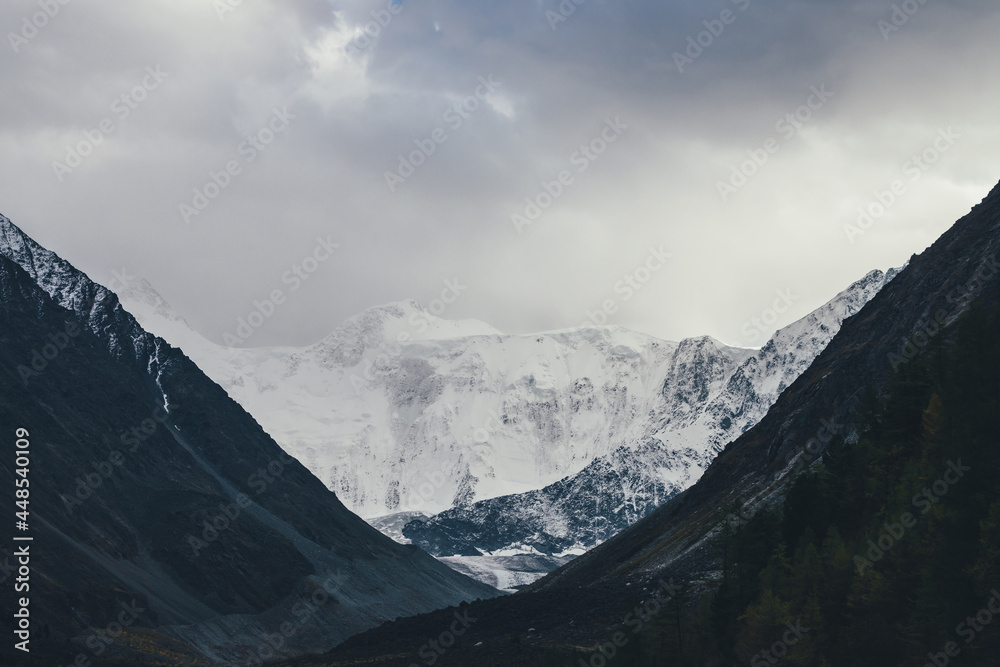 Atmospheric landscape with high snowy mountain wall and glacier in valley among dark silhouettes of rocks under cloudy sky. Dramatic view to snow-covered pinnacle. White snow mountains and black rocks