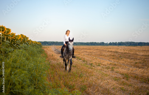 woman riding a gray horse in a field at sunset. horseback riding, rental, beautiful background, cottage. Friendship and love of people and animal. Pet. equestrian sport. Sunflowers
