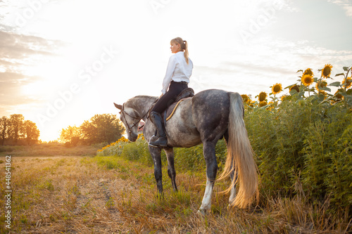 woman rides a gray horse in a field at sunset. Freedom, beautiful background, friendship and love for the animal. Sports training equestrian, rental and sale of horses, hiking, riding, walking.